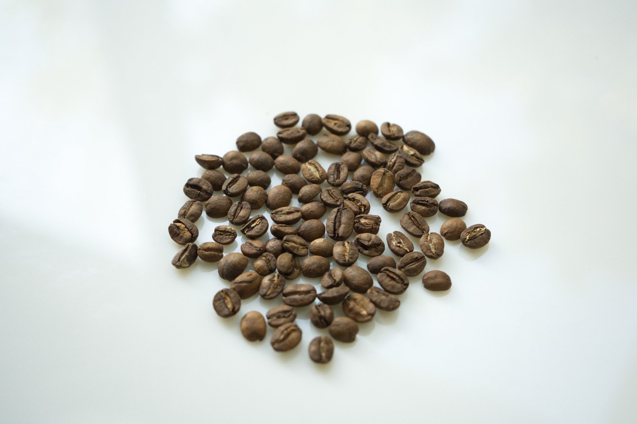 Grãos torrados do lote Aromas do Café Gato-Mourisco espalhados sobre superfície clara